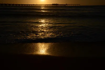 DSC_7101 (Large).JPG